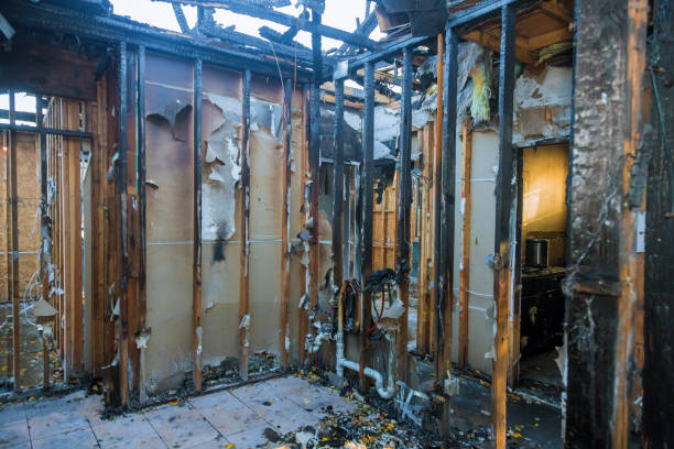 Professional Fire Damage Assessment technician working in Quitman, MS